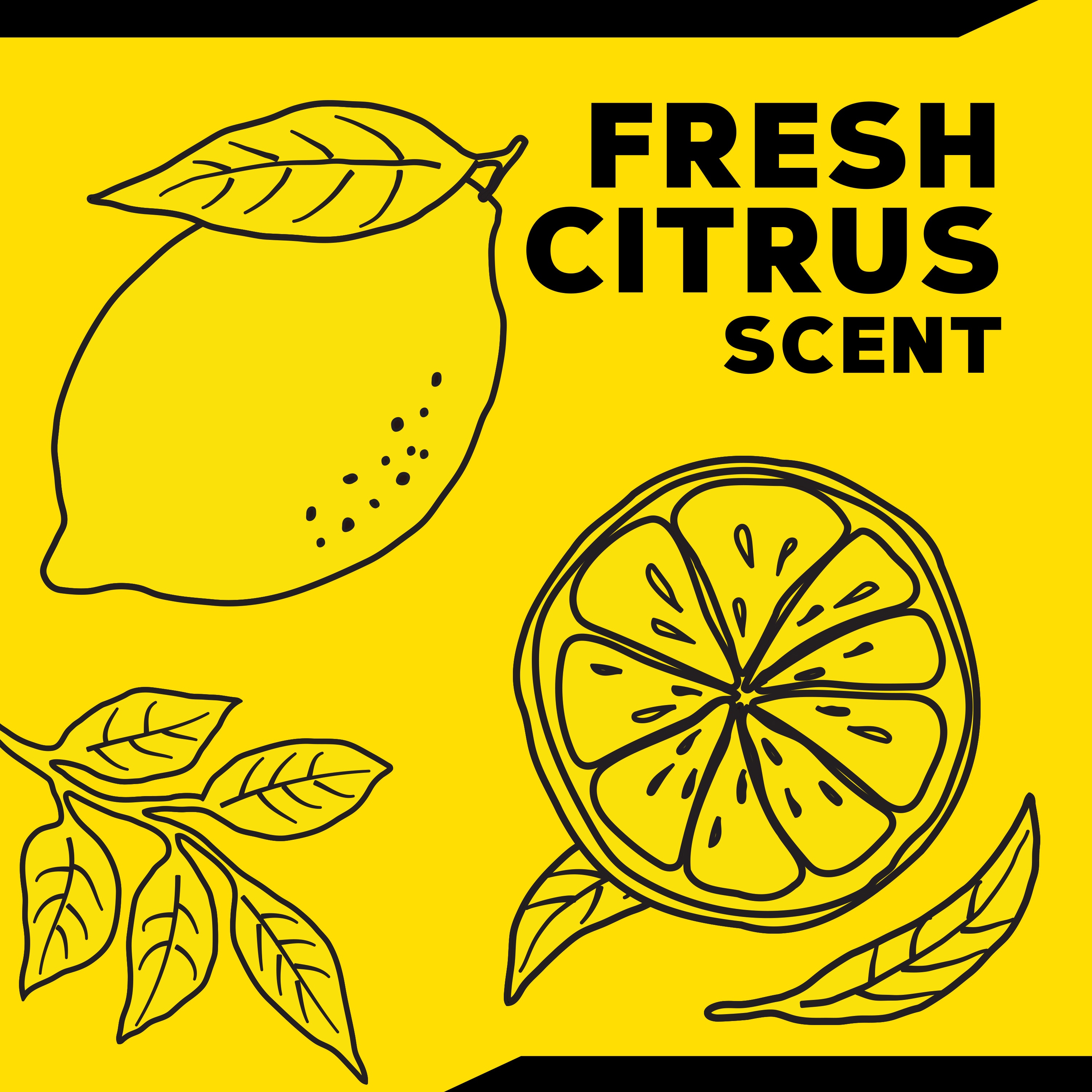 Meguiar's All Surface Interior Cleaner All Purpose Interior Cleaner